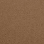 Championship_Camel_TEXTURE.jpg