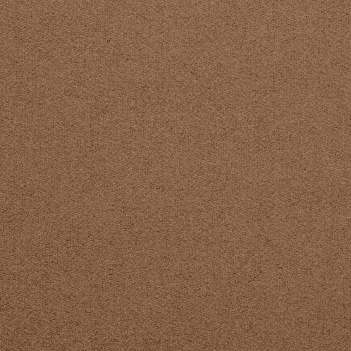 Championship_Camel_TEXTURE.jpg