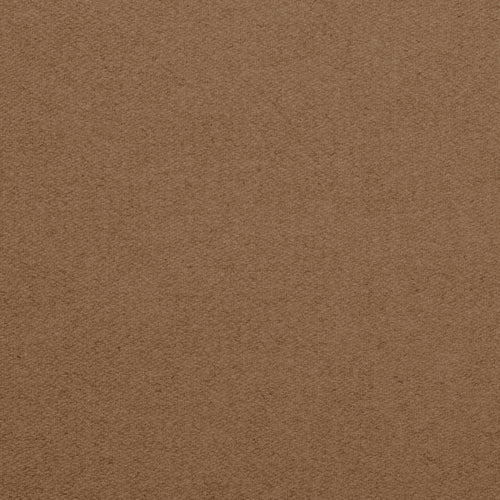 Championship_Camel_TEXTURE.jpg