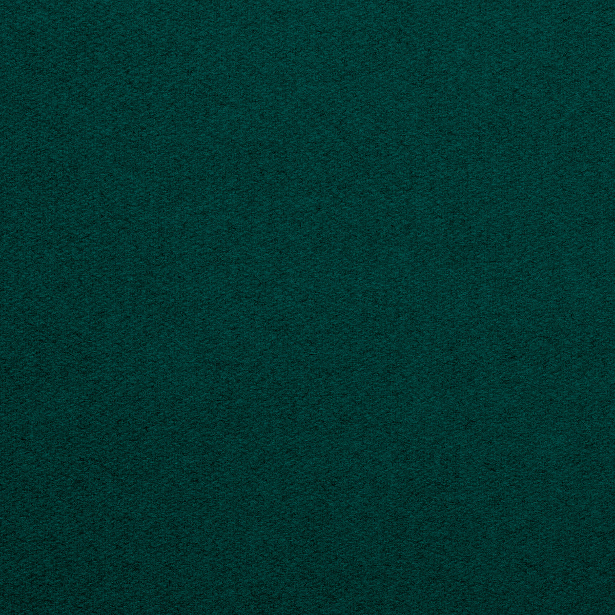 Championship_Dark_Green_TEXTURE.jpg
