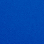 Championship_Electric_Blue_TEXTURE.jpg