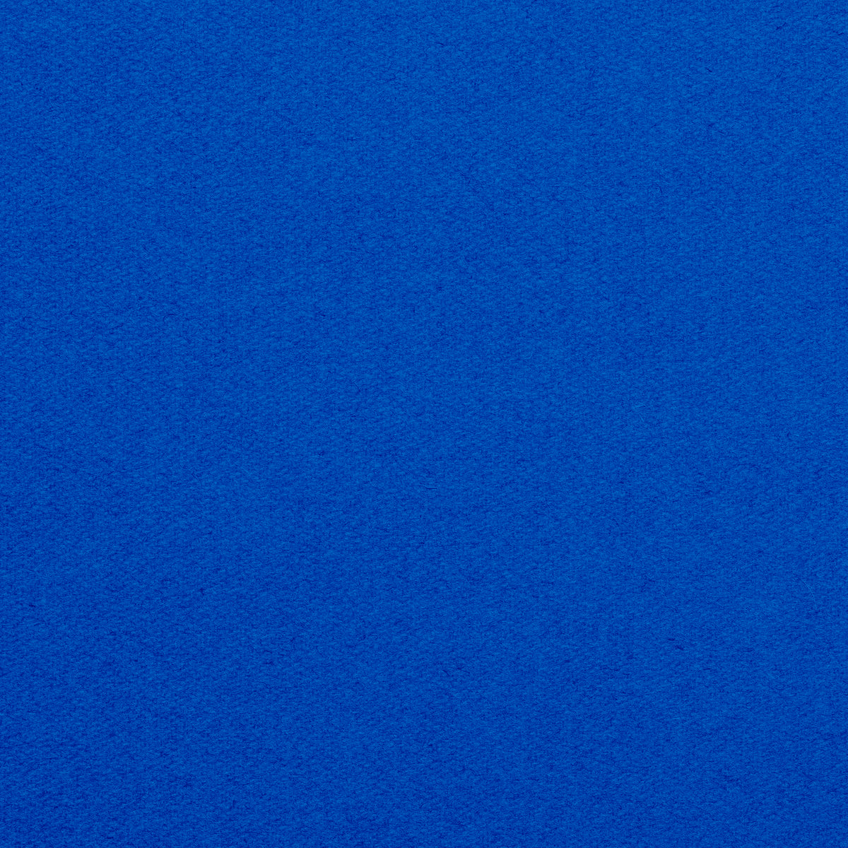 Championship_Electric_Blue_TEXTURE.jpg