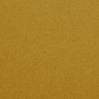 Championship_Golden_TEXTURE.jpg