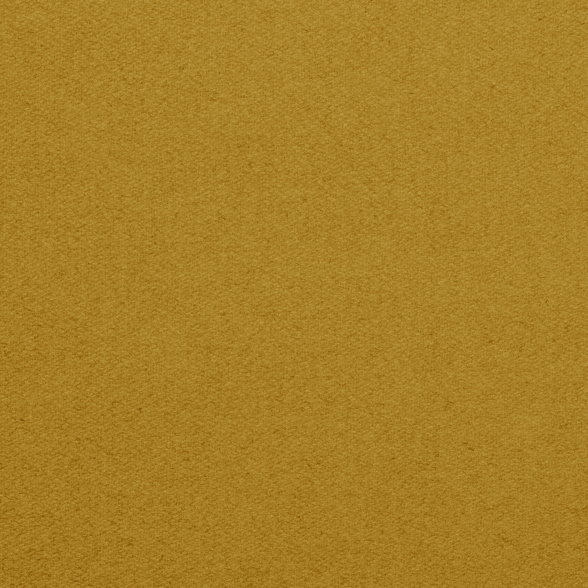 Championship_Golden_TEXTURE.jpg