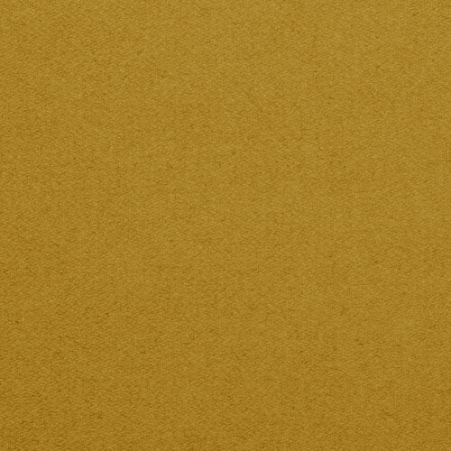 Championship_Golden_TEXTURE.jpg