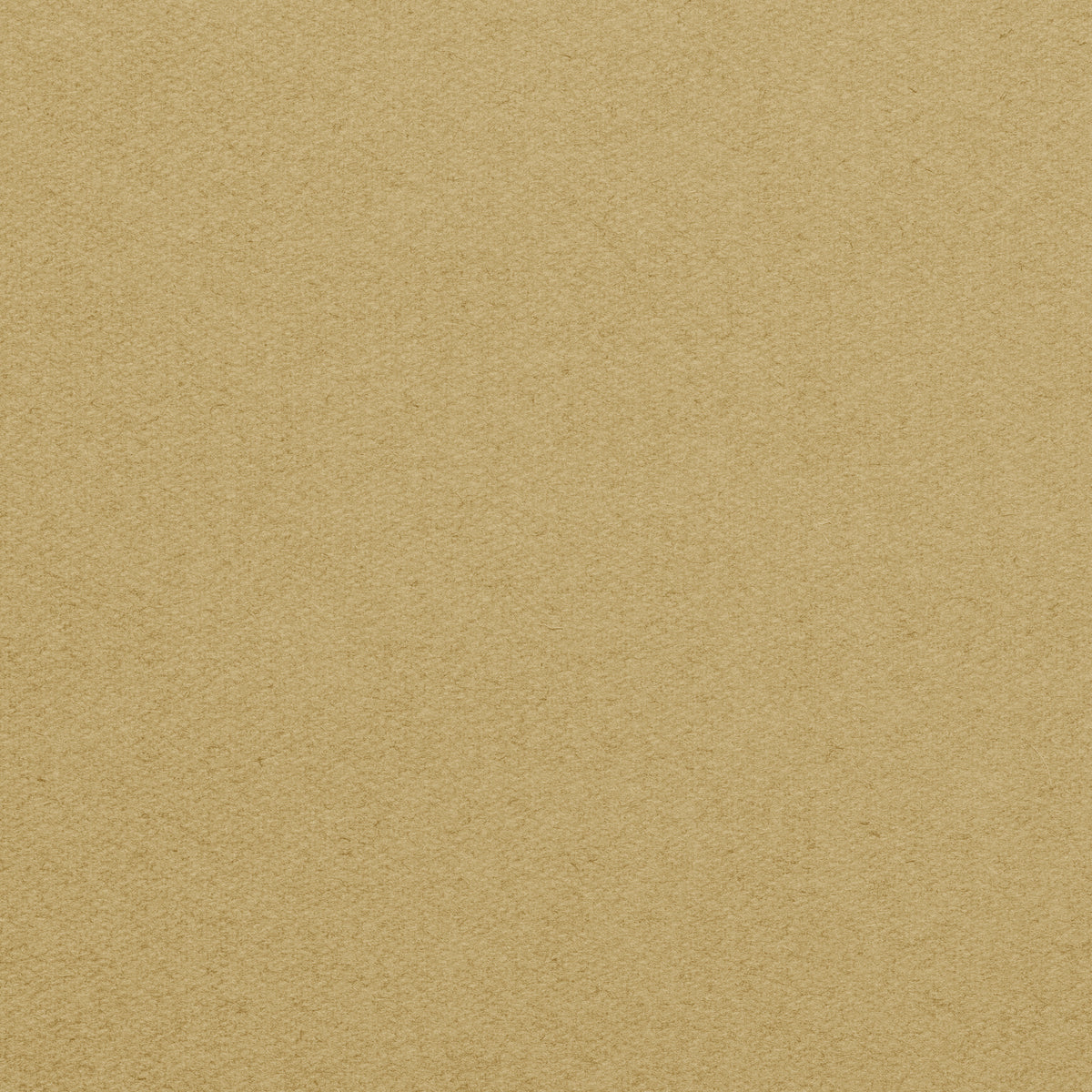 Championship_Lite_Khaki_TEXTURE.jpg