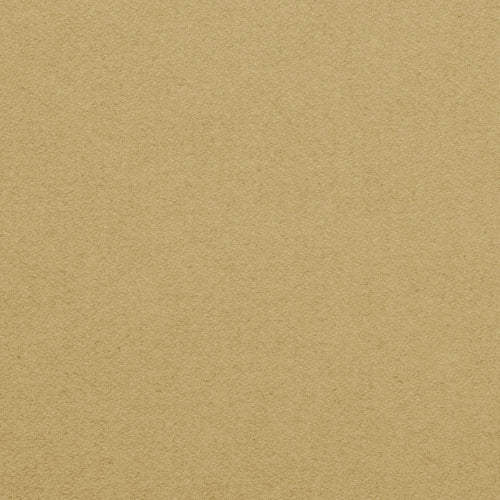 Championship_Lite_Khaki_TEXTURE.jpg