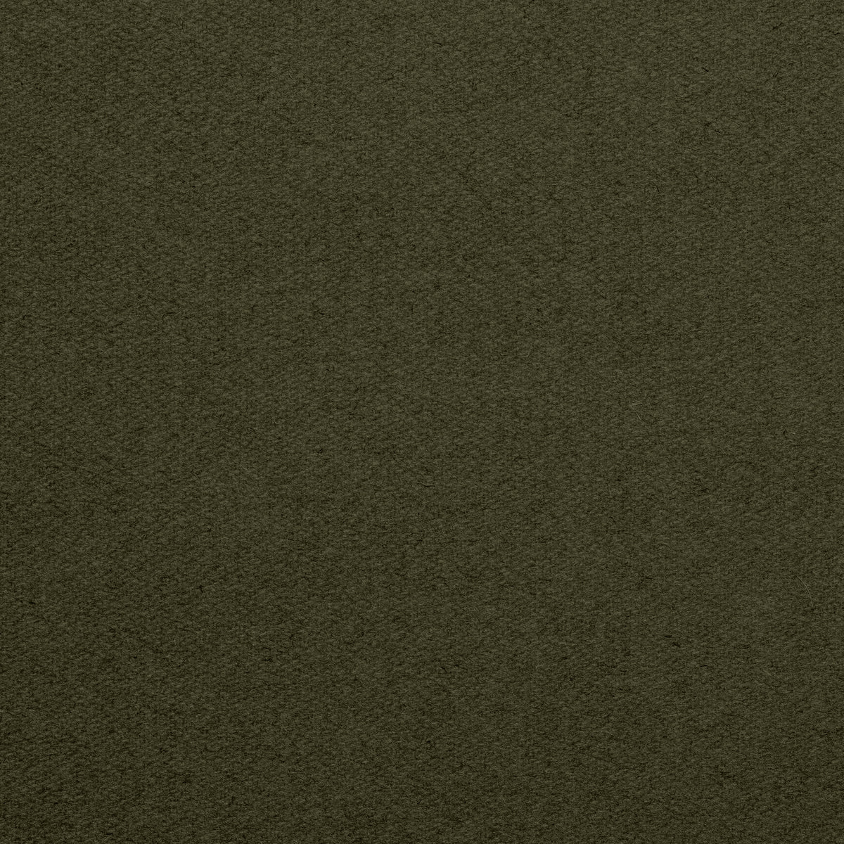 Championship_Olive_TEXTURE.jpg