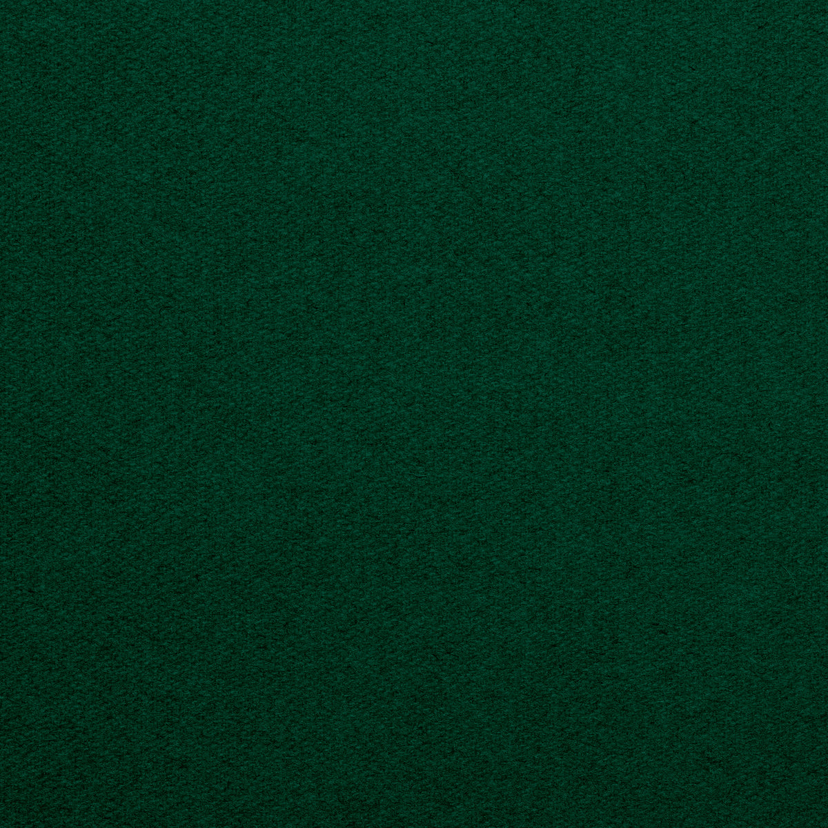 Championship_Spruce_Bottle_Green_TEXTURE.jpg