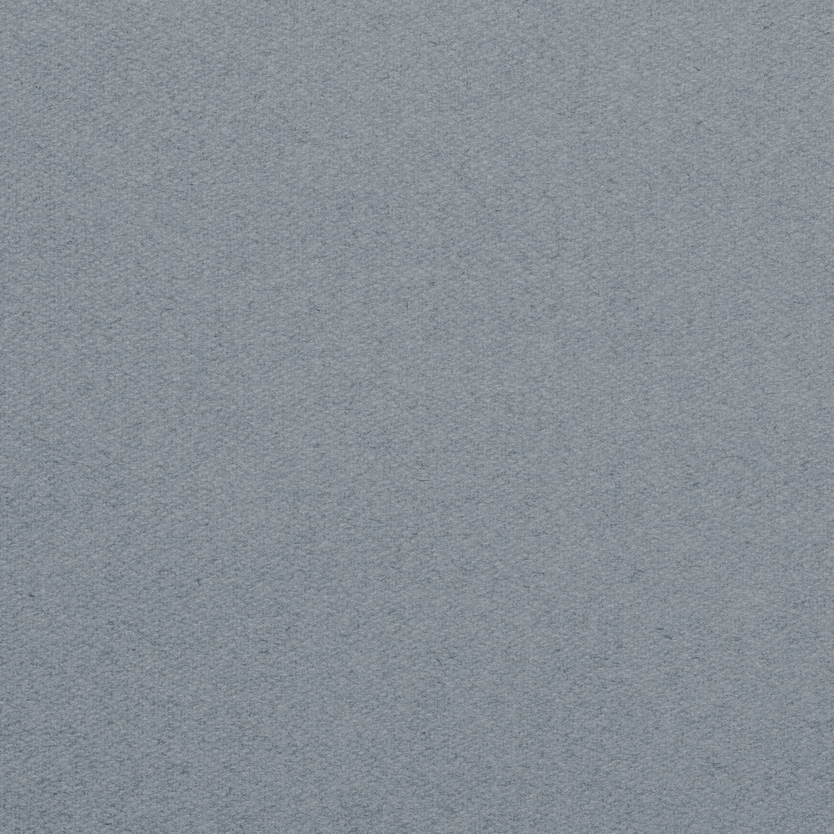 Championship_Steel_Grey_TEXTURE.jpg
