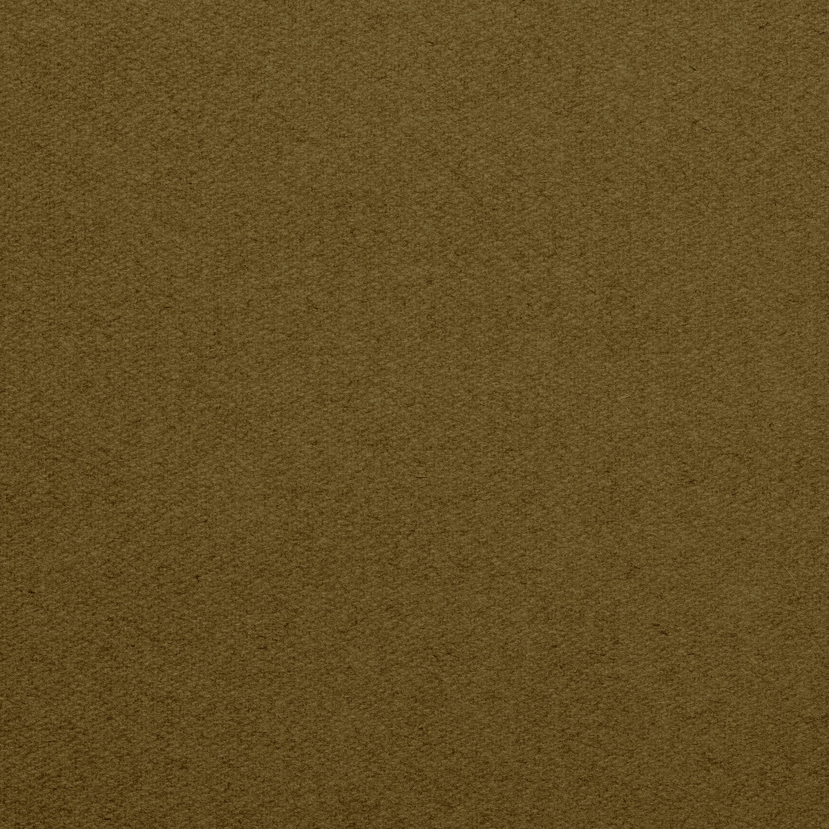 Championship_Taupe_TEXTURE.jpg