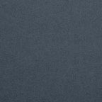 Championship_Titanium_TEXTURE.jpg