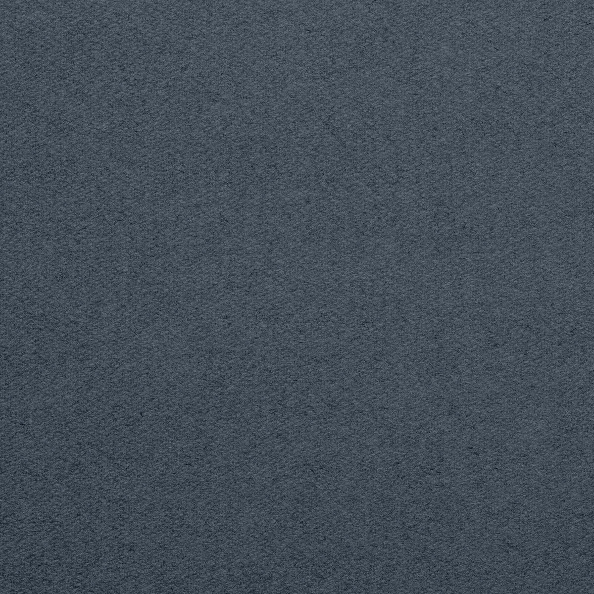 Championship_Titanium_TEXTURE.jpg
