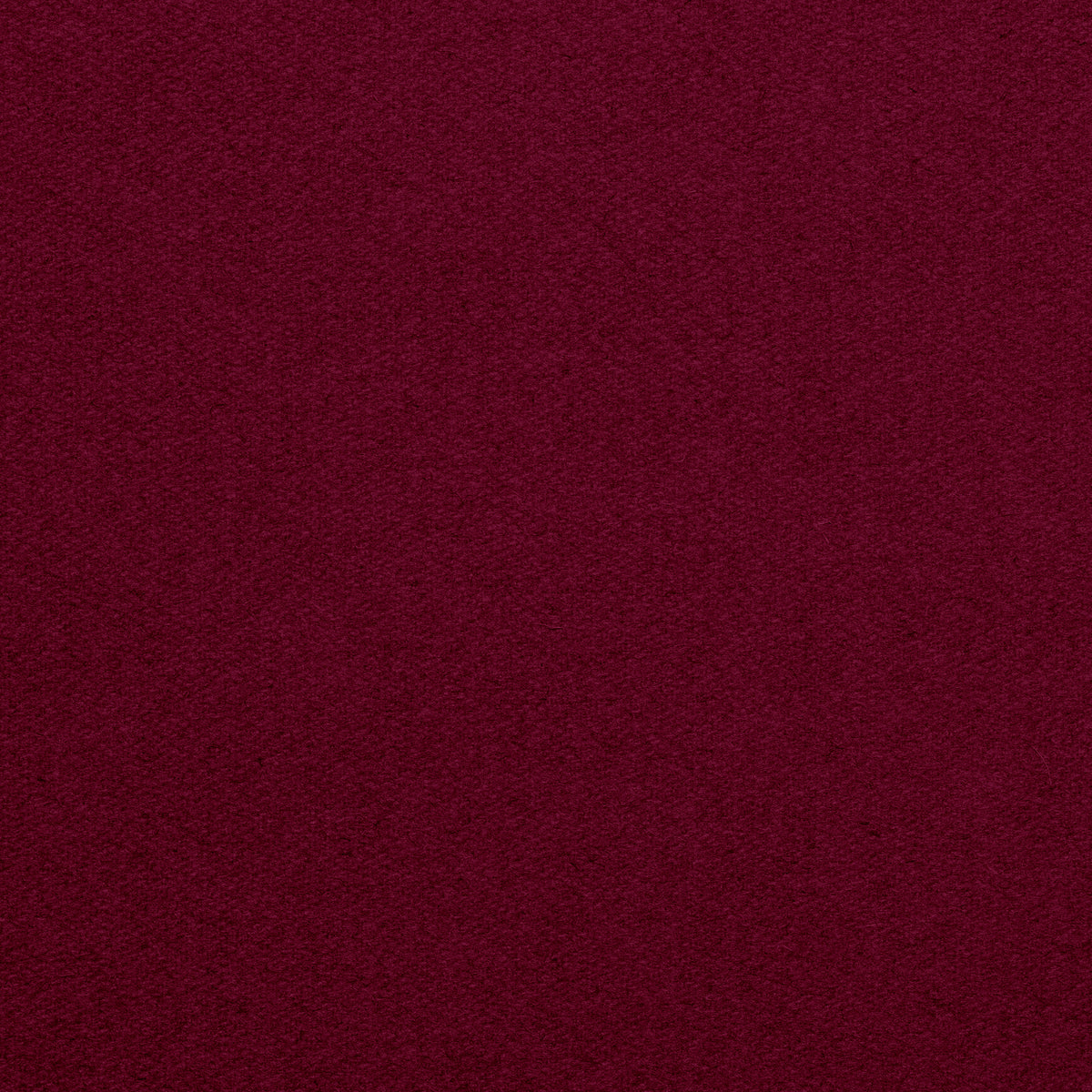 Championship_Wine_TEXTURE.jpg